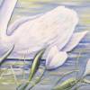 SCHWAN IM FRÜHLING  60cm x 60cm - Wunderschönes Schwanenbild auf Leinwand mit Tulpen - Kunst Bild Gemalt Malerei  Acryl Bild 2