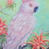 Acrylgemälde "Kakadu und Bromelien" - Bild Papagei Original Gemalt Kunst Acryl Malerei Urwald 60cmx60cm Bild 4
