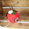 Filzmaus im Filzapfelhaus handmade gefilzte Maus gefilzte Äpfel Bild 2