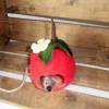 Filzmaus im Filzapfelhaus handmade gefilzte Maus gefilzte Äpfel Bild 4