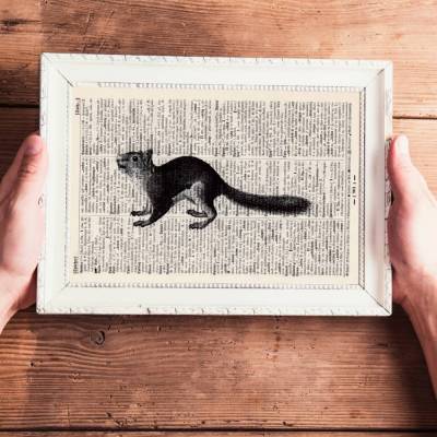 Eichhörnchen - Druck auf antiquarischer Buchseite / bedruckte Buchseite