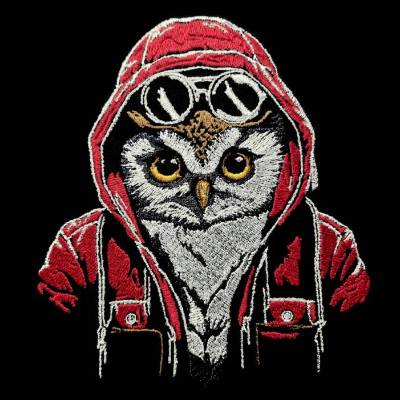 Eule cool Color Lichteffekt 18x18cm bzw. 20x20cm