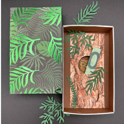 Geldgeschenk oder Gutschein kreativ im Baumstamm verpacken – Überraschung mit Eule