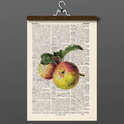 Apfel - Druck auf antiquarischer Buchseite / bedruckte Buchseite