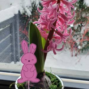 Stickdatei Hase, Anhänger, Blumentopf, Stab, Ostern, Frühling, zwei Größen, Redworkstich Bild 2
