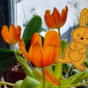 Stickdatei Hase, Anhänger, Blumentopf, Stab, Ostern, Frühling, zwei Größen, Redworkstich Bild 3