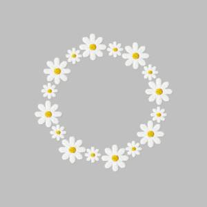 Stickdatei Blumenkreis in vier Größen, Gänseblümchen, Kranz, Blüte, Stickmuster Bild 1