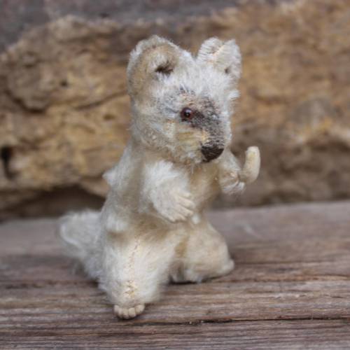 kleiner STEIFF Waschbär Raccy 10 cm hoch ohne IDs 1950er 60er Jahre