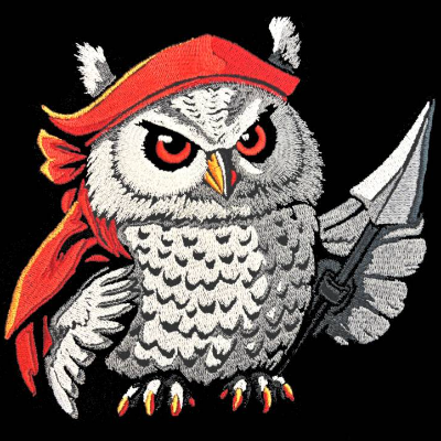 Eule Pirat Lichteffekt 12-14x18cm