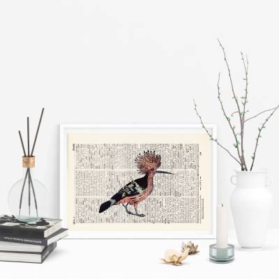 Exotic Bird No. 4 - Druck auf antiquarischer Buchseite / bedruckte Buchseite