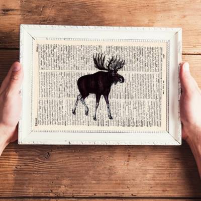 Elch - Druck auf antiquarischer Buchseite / bedruckte Buchseite