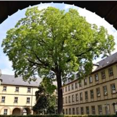 Innenhof Foto mit Grünanlage in Bamberg, digitaler Download für Poster, Leinwand 32 x 24 cm