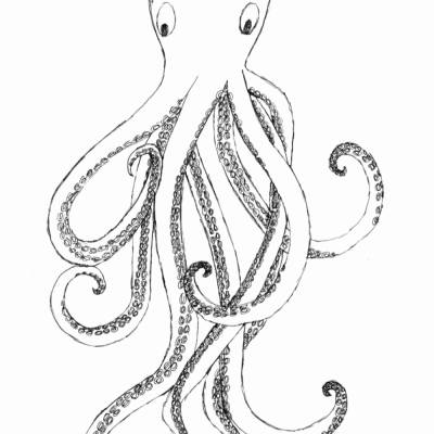 Printable: Oktopus Faltkarte im A4 Format zum Ausdrucken und bemalen. Detaillierte Tentakel mit Saugnäpfen 