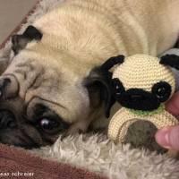 Mops - Rasselring, Greifring - Häkelanleitung Bild 2