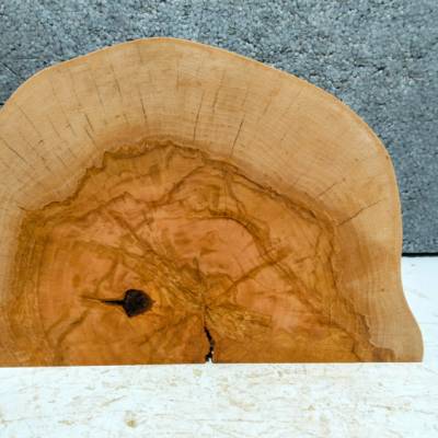 Biete hier eine halbe Baumscheibe, Holzscheibe, gestockte Birke an