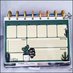 Kakteen Bundle Mit Sprüchen SVG DXF Bild 4