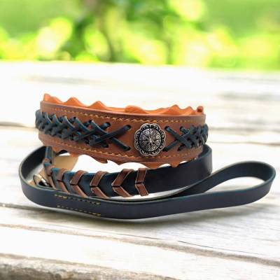 Hundehalsband und - oder  Leine aus Geschirrleder cognacfarbend mit Aufflechtung aus Geschirrleder Größe ca. 50 - 54 cm