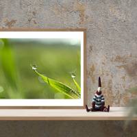 Wassertropfen auf der Spitze eines Grashalmes, Natur, Foto, Kunst, Digitaler Download Datei für 30 x 20 cm Bild 3