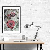 Dunkelrote Rosen am Gartenteich, Foto Download, 30x45 cm, Poster, Leinwand, Bild mit Rahmen Bild 2