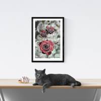 Dunkelrote Rosen am Gartenteich, Foto Download, 30x45 cm, Poster, Leinwand, Bild mit Rahmen Bild 3