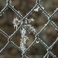 Maschendrahtzaun, winterlich vereist Foto Download, 30x40 cm, Poster, Leinwand, Bild mit Rahmen Bild 1