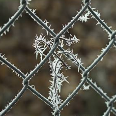 Maschendrahtzaun, winterlich vereist Foto Download, 30x40 cm, Poster, Leinwand, Bild mit Rahmen