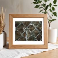 Maschendrahtzaun, winterlich vereist Foto Download, 30x40 cm, Poster, Leinwand, Bild mit Rahmen Bild 2