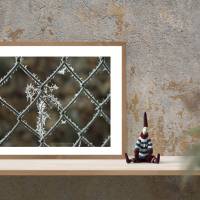 Maschendrahtzaun, winterlich vereist Foto Download, 30x40 cm, Poster, Leinwand, Bild mit Rahmen Bild 3
