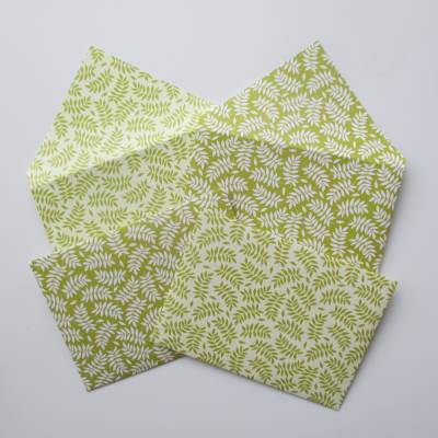 Geschenkumschlag Zweige Hellgrün, Briefumschlag, Schmuckkuvert mit modernen Blättern, 4 Stück je 2 Farbversionen
