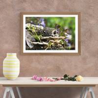 Baumpilze, Stein - Druckbares Foto - Kunst - Digital -  Download - Printable Photo 45x30 cm Poster, Leinwand Bild 2