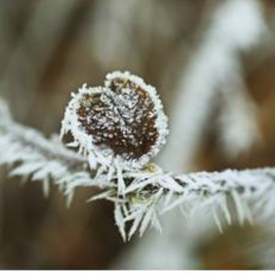 Frostiges Herz Winter - Druckbares Foto - Kunst - Digital -  Download - Printable Photo 40x30 cm, Poster
