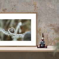 Frostiges Herz Winter - Druckbares Foto - Kunst - Digital -  Download - Printable Photo 40x30 cm, Poster Bild 3