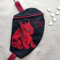 Drache sitzend Color Lichteffekt 24-26*15-16cm, JEF 20*17cm Bild 8