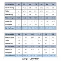 Schnittmuster Jumper 