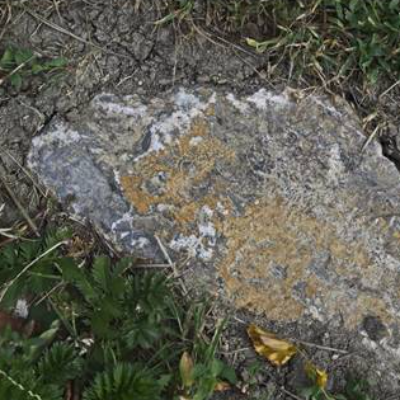 Fußabdruck aus Stein, Natur, Foto, Kunst, Digitaler Download Datei für 30 x 20 cm