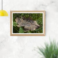 Eichenblatt mit Wassertropfen, Natur, Foto, Kunst, Digitaler Download Datei für 30 x 20 cm Bild 3