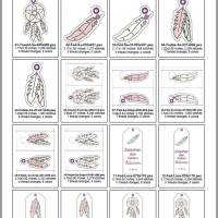 Stickdateien Set Traumfänger 06 – ITH Lesezeichen & Anhänger ab 10x10 – 16 Motive Bild 3