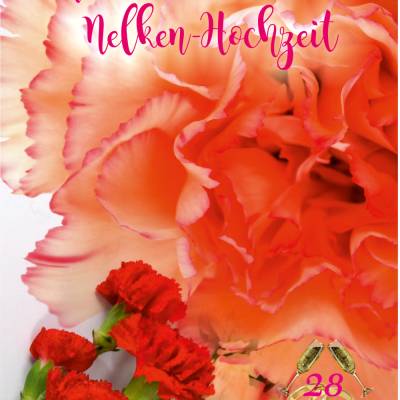 Glückwünsche zur Nelken - Hochzeit - 28. Hochzeitstag.
