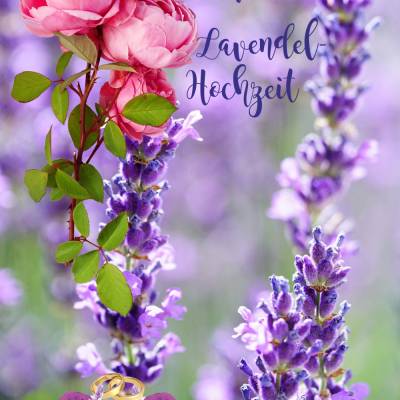 Glückwünsche zur Lavendel-Hochzeit - 41. Hochzeitstag.