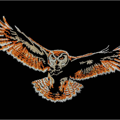 Eule im Flug Color Lichteffekt 20x26-30cm, 21*40cm EXP