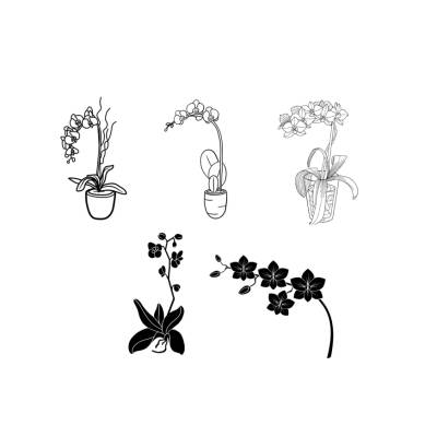 Orchideen Orchids Bundle PNG SVG Datei - Download Datei Plotterdatei - svg png Datei - Geschenkidee Gift idea - Blumen F