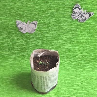 Handgemachte Saatguttöpfchen aus Zeitungspapier – Mittel – plastikfrei, biologisch abbaubar, nachhaltig