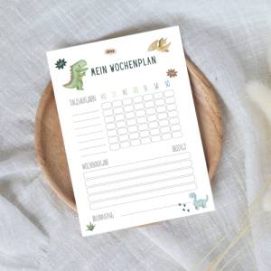 Belohnungstafel für Kinder im Dinodesign , Montessori inspiriert, Wochenplan als PDF Download zum runterladen Bild 4