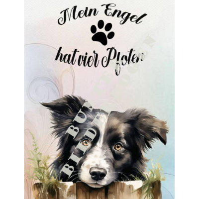 Wunderschön designtes Bild– Farbenfroh & Auffallend – Sofortiger Download PNG