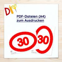 30 Schild zum Geburtstag Bild 3