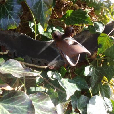 1 Eisen Fledermaus Vogel Tier Wanddeko Gartendeko Eisendeko Rost Rostdeko Gartenschmuck Vintage Brocante Skulptur Drache