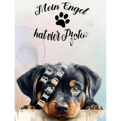 Wunderschön designtes Bild– Farbenfroh & Auffallend – Sofortiger Download PNG