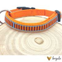 Hundehalsband S Bild 2