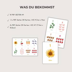 Zahlen Karten von 1-10,  Zahlen lernen, Interesse an Zahlen wecken, PDF Download zum Ausdrucken, Montessori inspiriert Bild 3