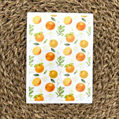 Rub-On I Rubon, RANDLOS, FRUITS, ORANGE, A6, bunt/farbig, Rubon, Rub ONs, z.B. f. Raysin / Keraflott, Früchte etc.